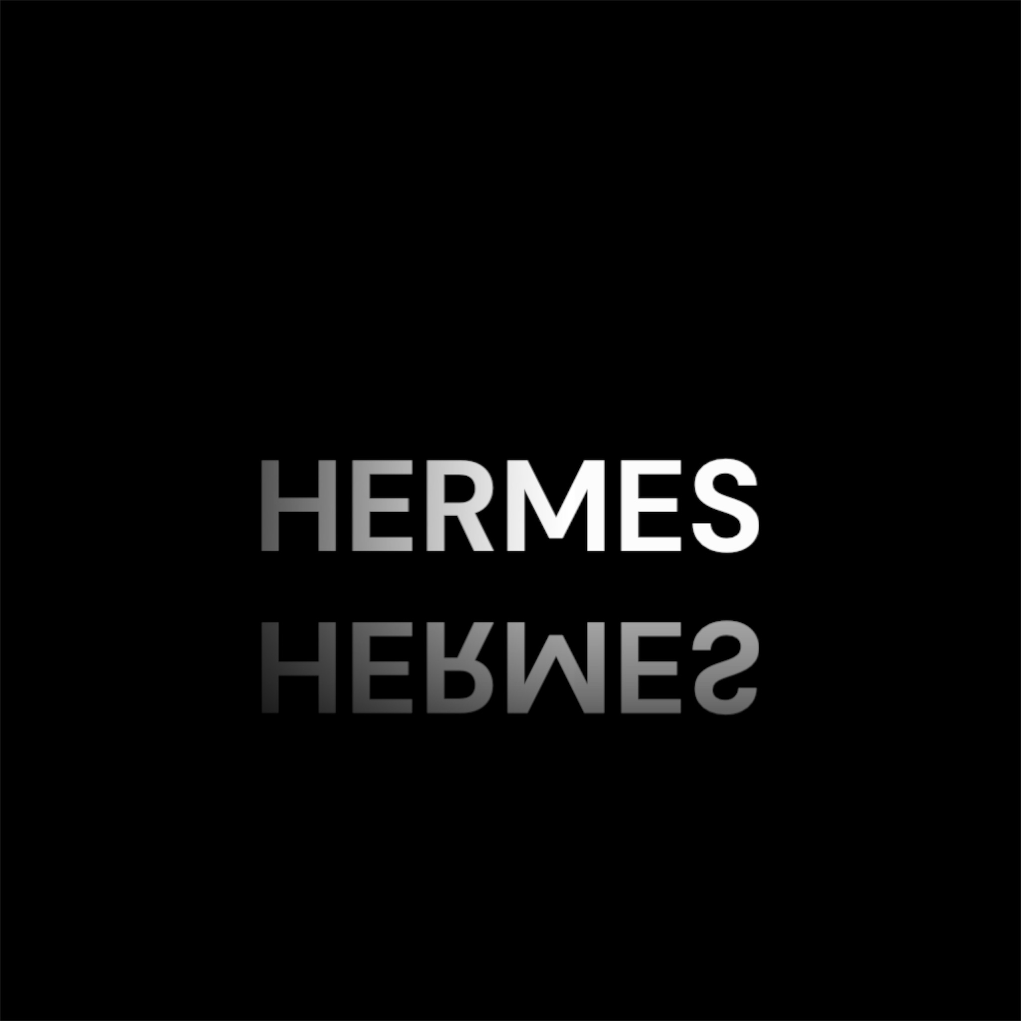 HERMES TYPE