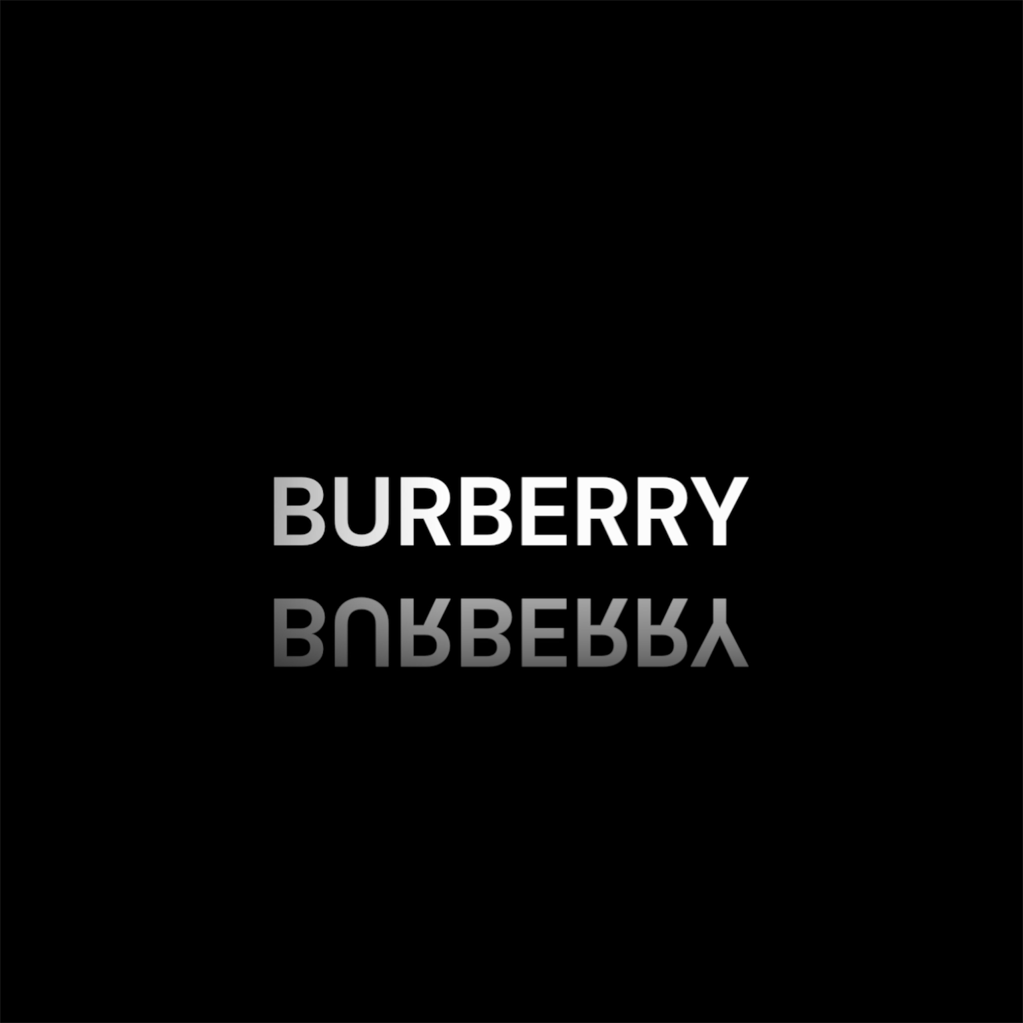 BURBERRY TYPE