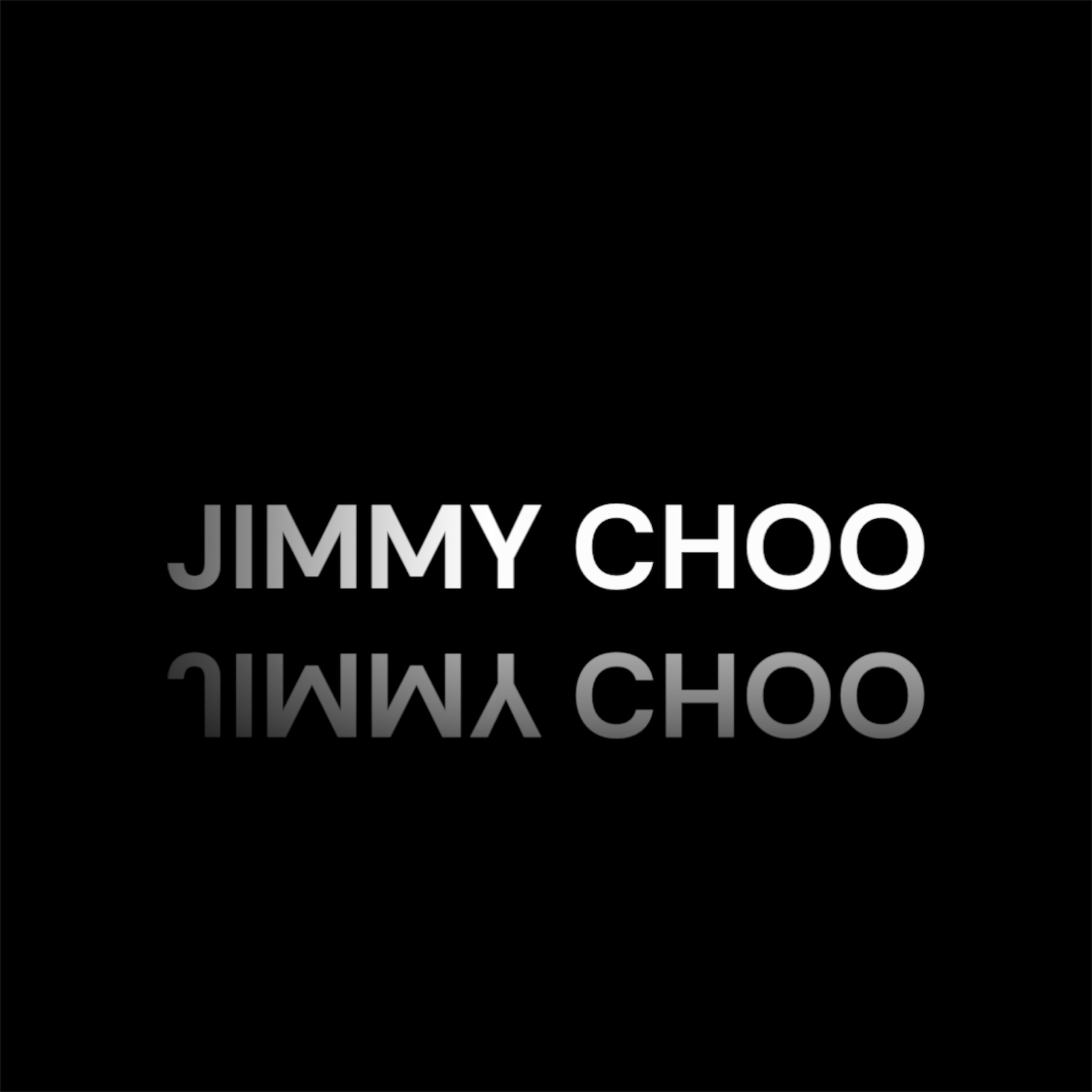 JIMMY CHOO TYPE