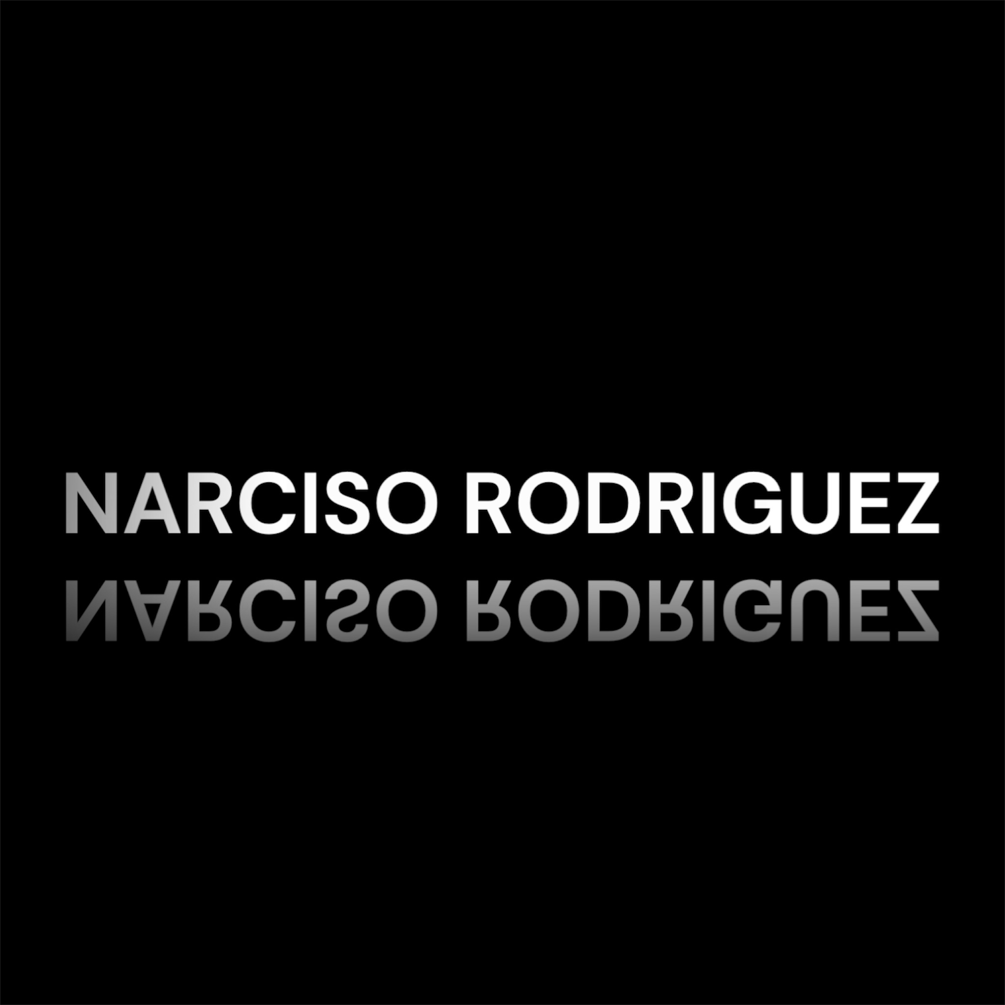 NARCISO RODRIGUEZ TYPE