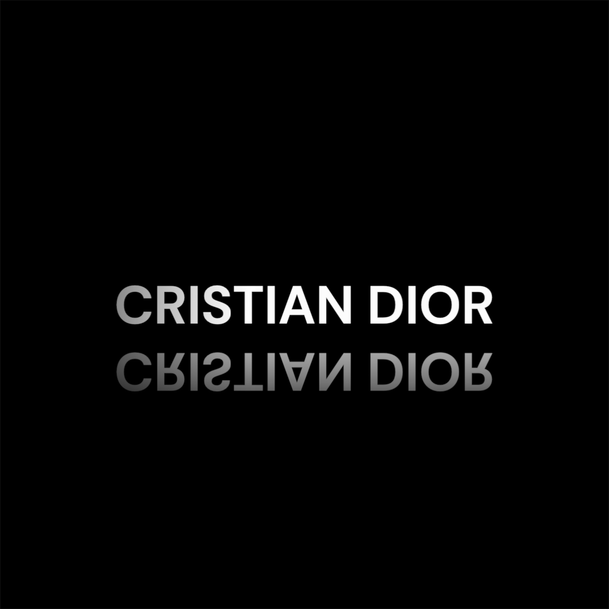 CRISTIAN DIOR TYPE